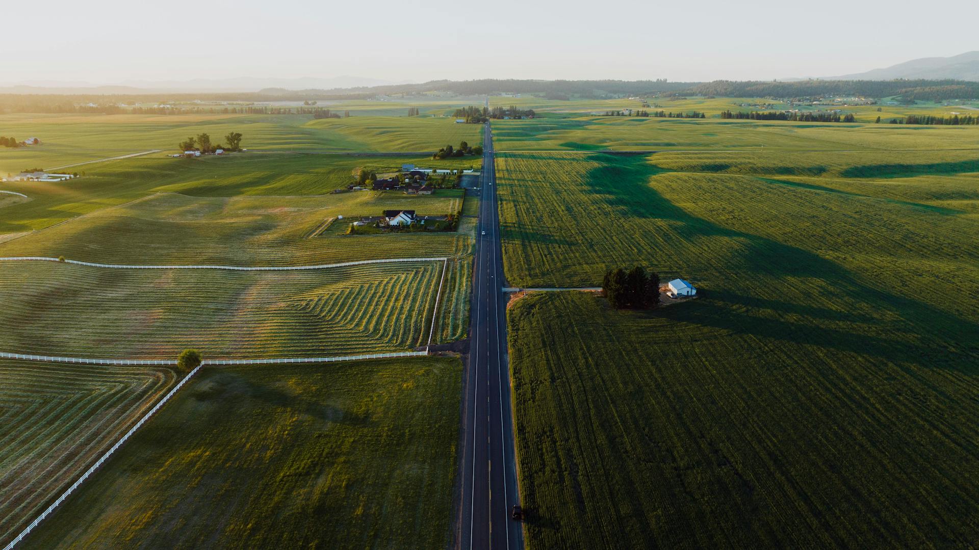 Aerial View of a Country Road Stretching past Vast Green Fields