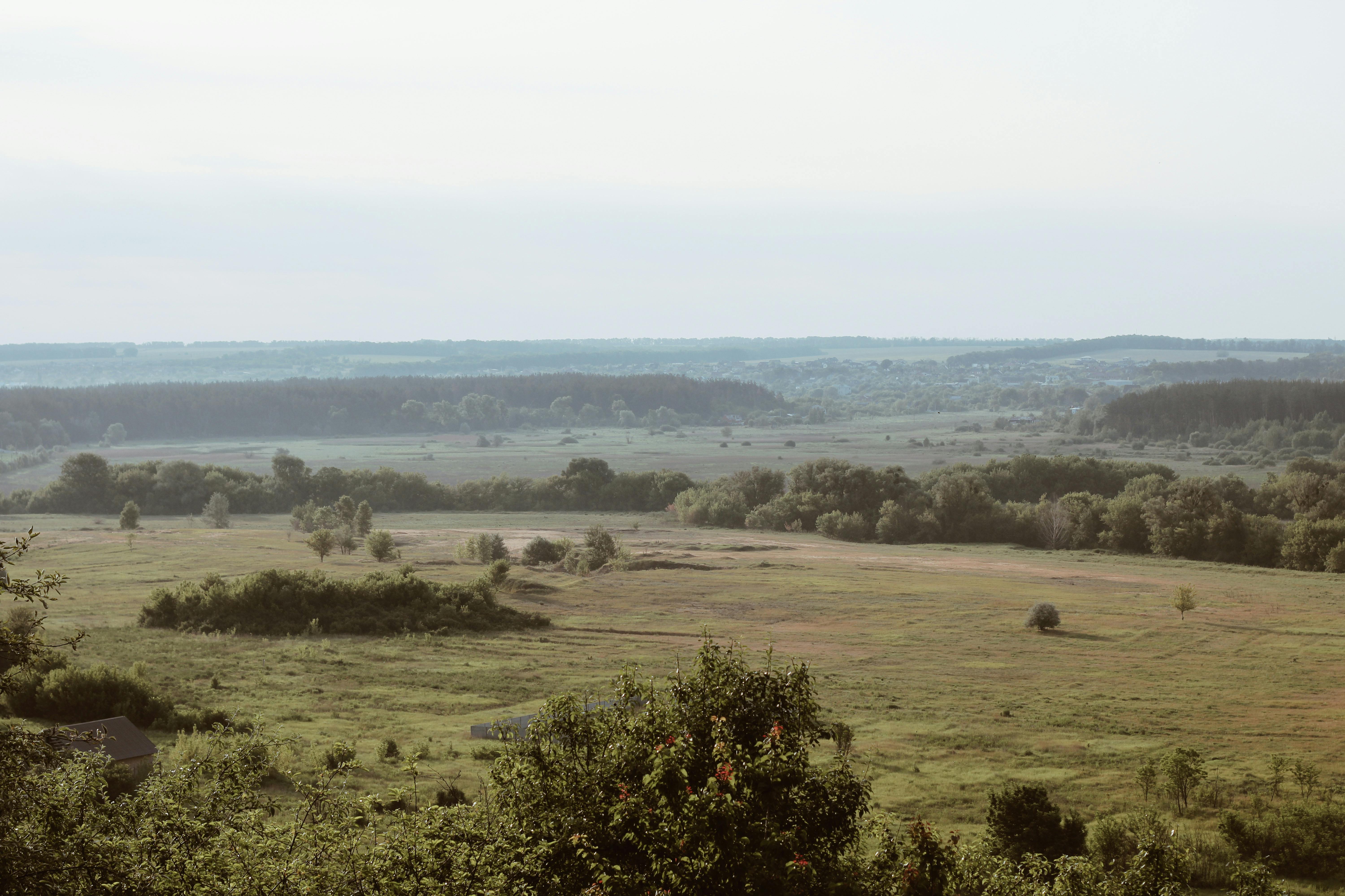A serene view of the expansive Ukrainian countryside with fields and trees under a clear sky.