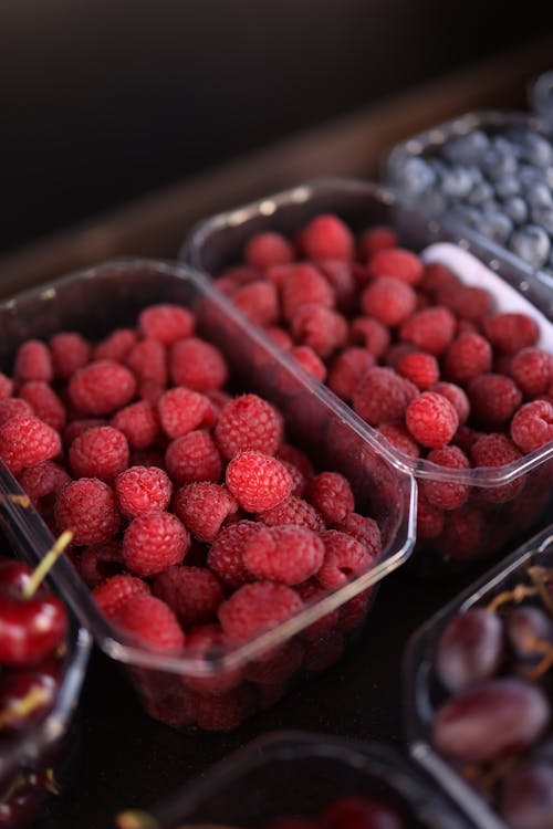 Gratis lagerfoto af blackberry, delikat, ernæring