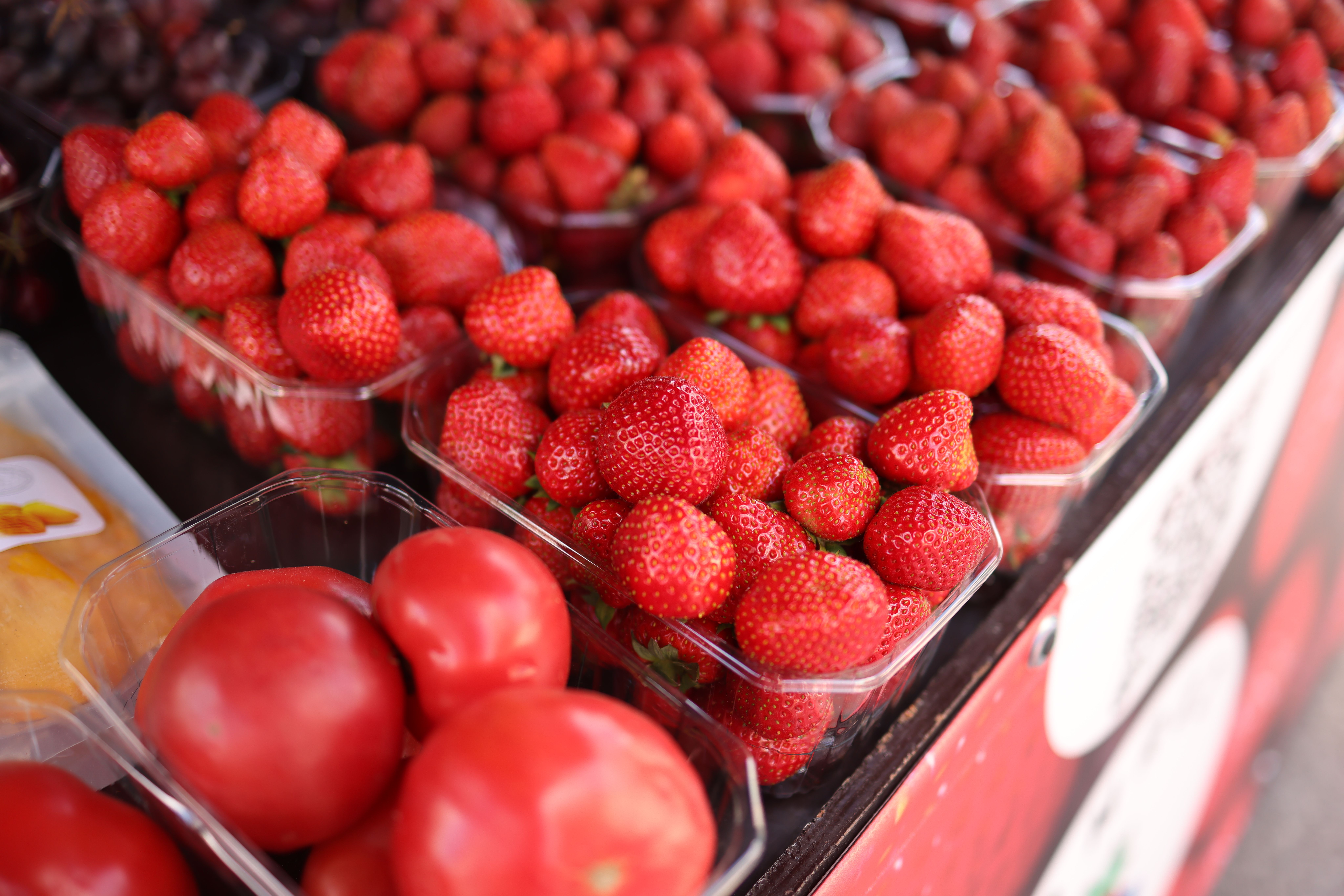 Comment ajuster votre plan d'alimentation saine pour chaque saison