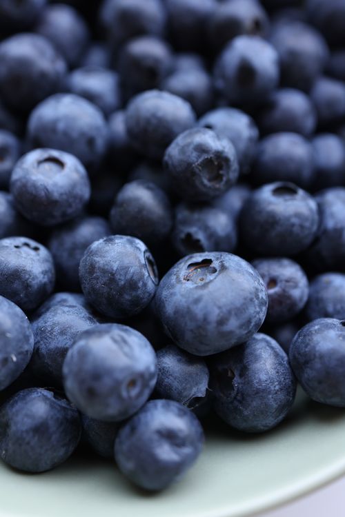 Free Close-up shot of fresh, ripe blueberries piled on a plate, showcasing their natural color and texture. Stock Photo