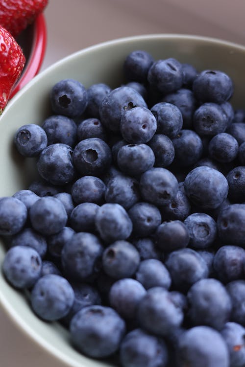 Gratis lagerfoto af afbalanceret kost, antioxidant, bær