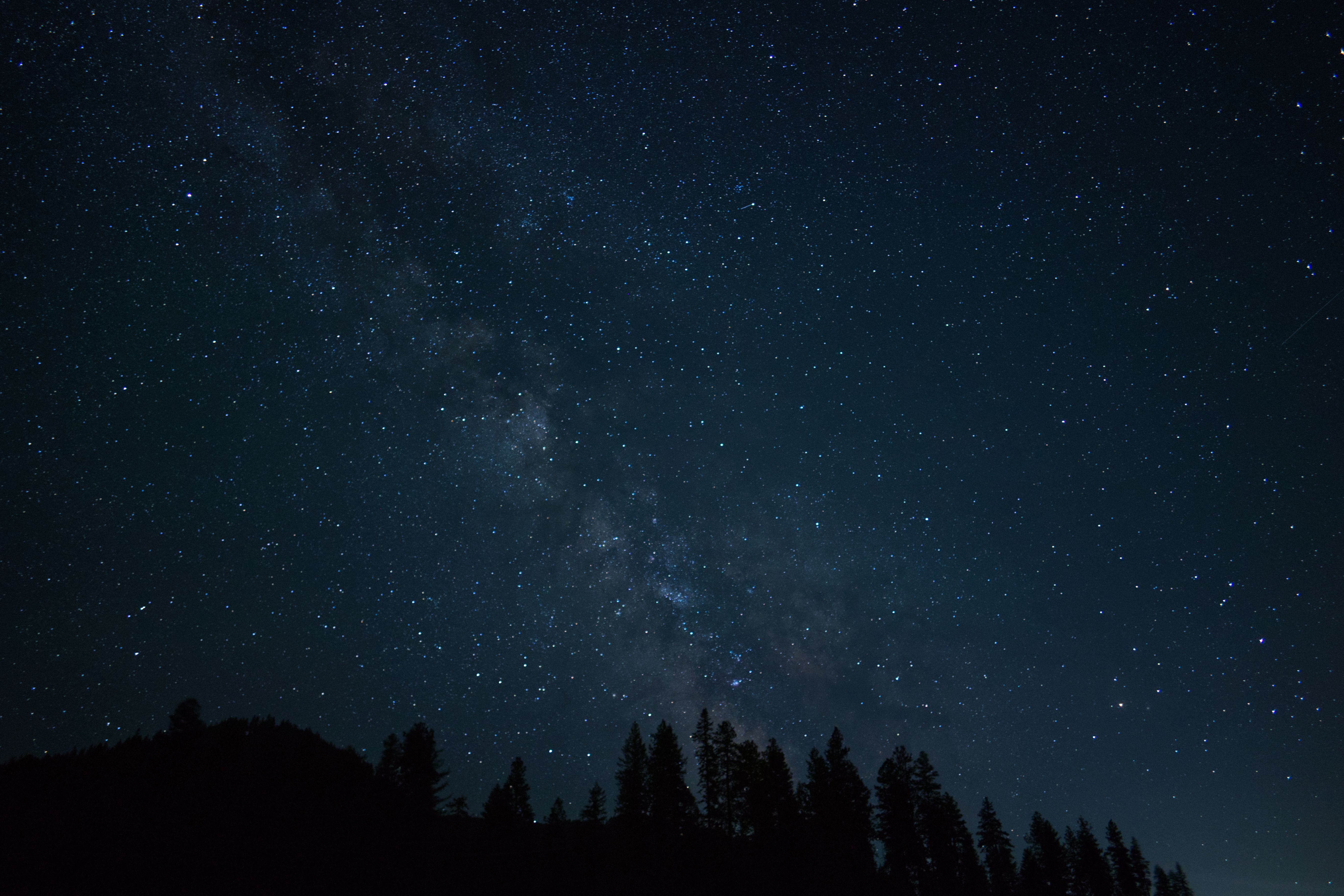 Starry Night in a Forest · Free Stock Photo