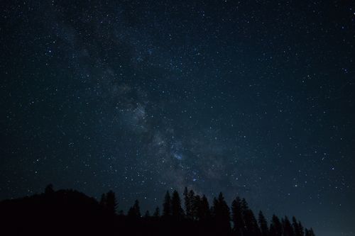 Free A serene starry night sky over silhouetted trees in a forest, Naples, ID. Stock Photo