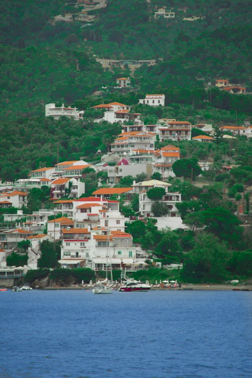 Town in Forest on Hill on Sea Coast