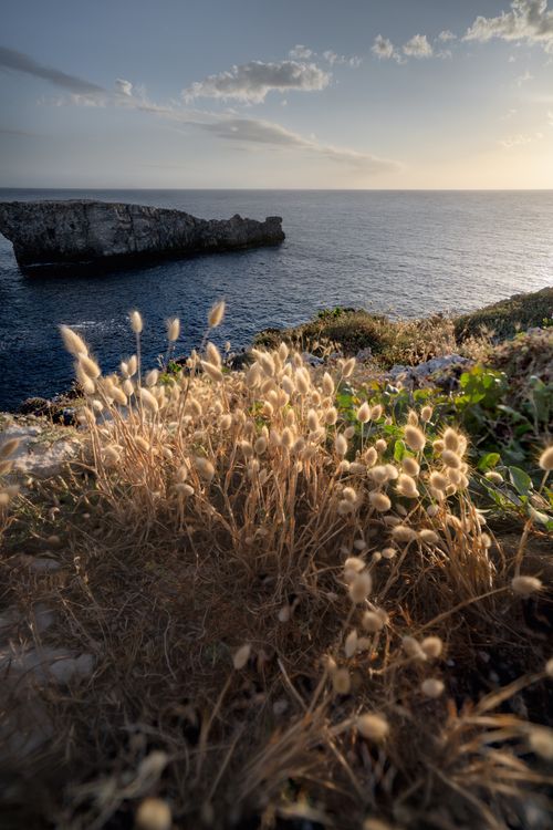 Free stock photo of coast, golden, golden hour Stock Photo