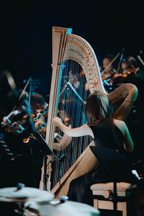 Foto profissional grátis de atadura, cantando, cantor