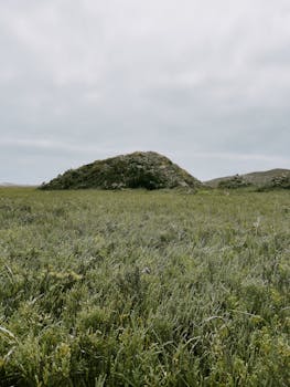Expansive green field and hill in B.C., México under overcast sky.