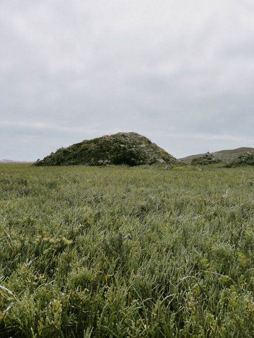 Free Expansive green field and hill in B.C., México under overcast sky. Stock Photo
