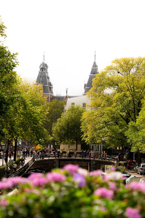 Canals of Amsterdam