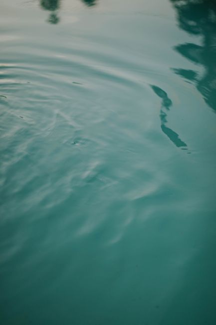 Peaceful water surface with gentle ripples reflecting sunset light.