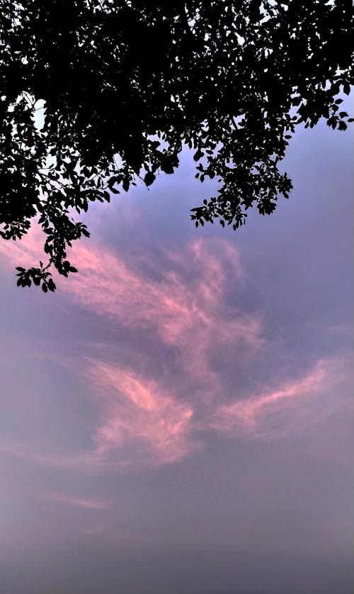 evening, sky içeren Ücretsiz stok fotoğraf