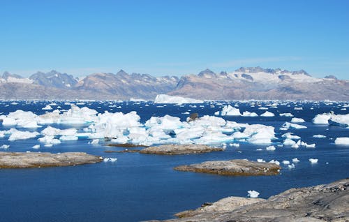 Free stock photo of arctic, fjord, frozen