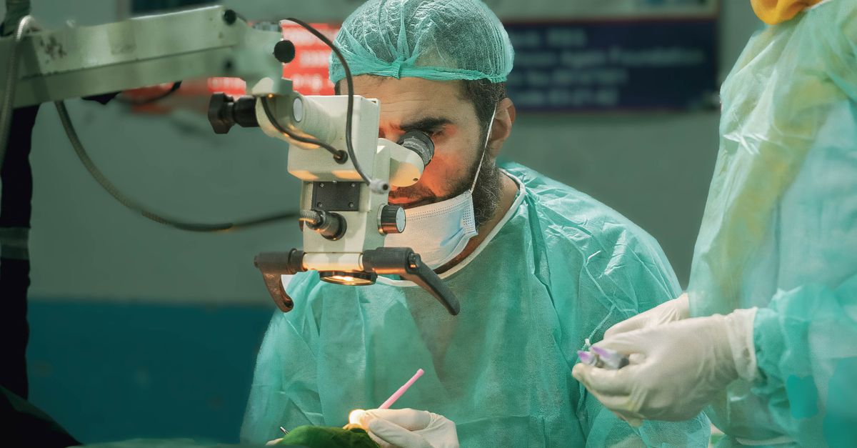 Cómo la revisión constante permitió aceptar teorías polémicas Cómo la revisión constante permitió aceptar teorías polémicas