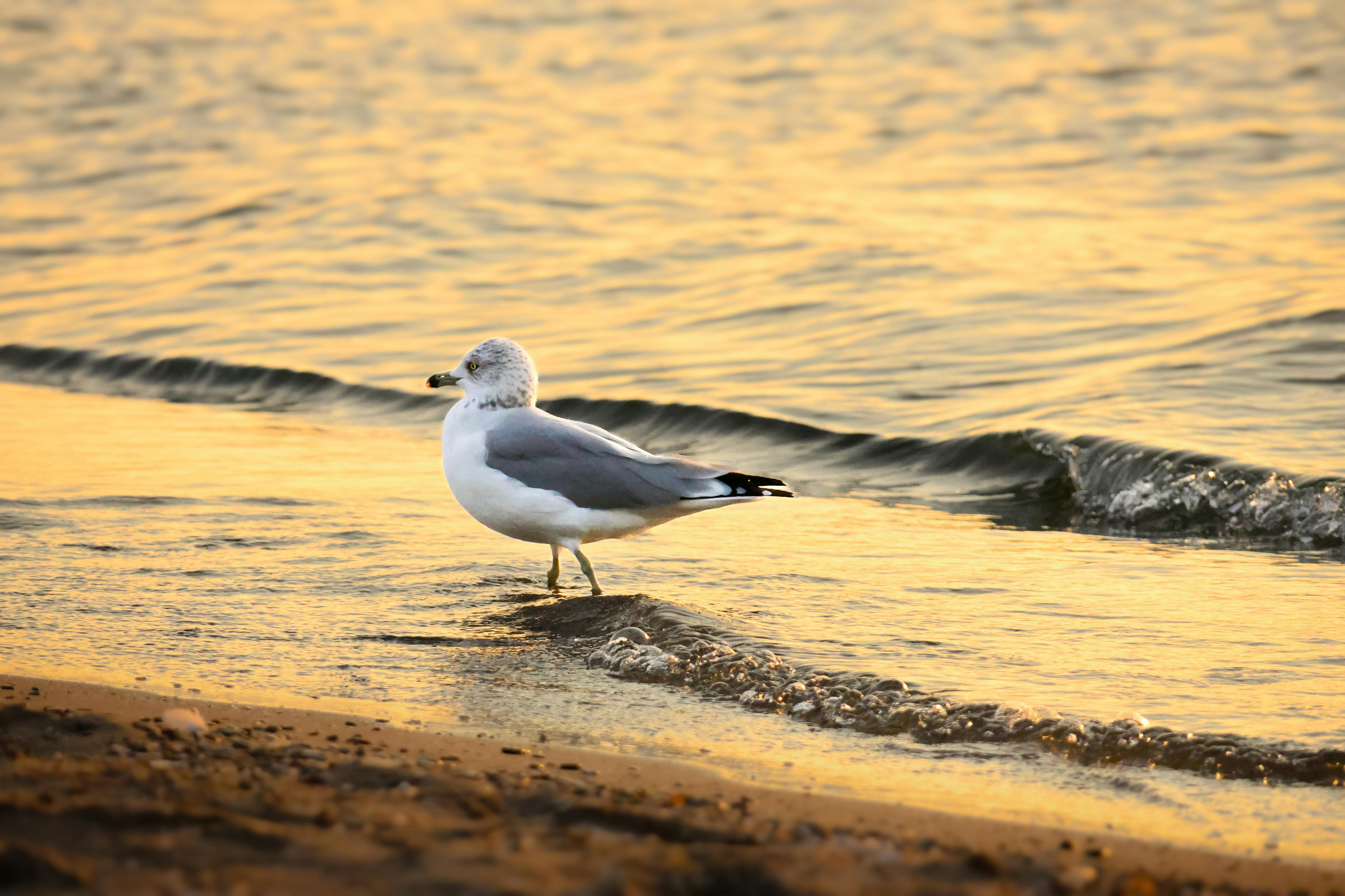 Value for Money: ‌Is the ⁤Hamilton Beach 25321 Worth It?