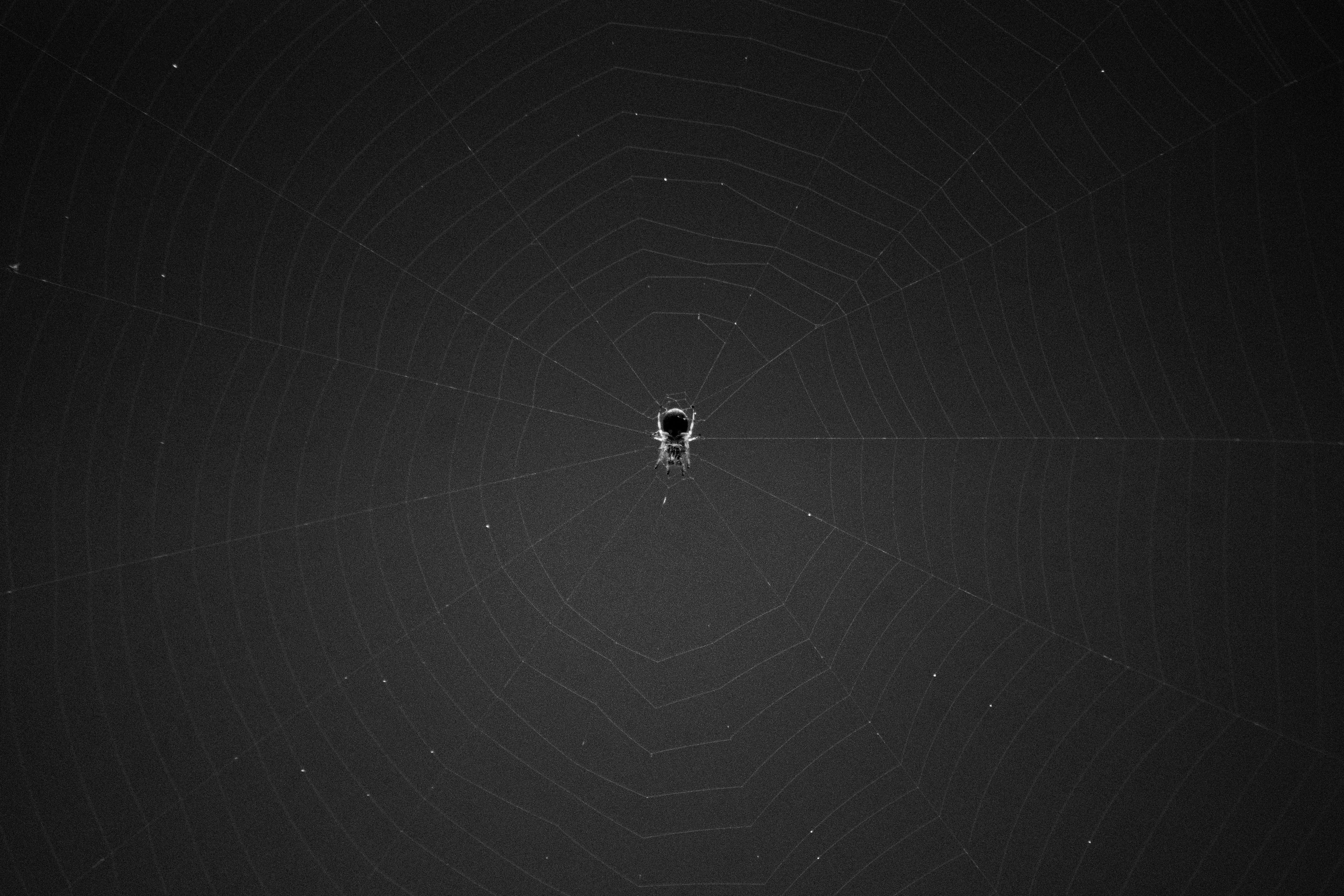 Gratuit Imagine de stoc gratuită din @în aer liber, a închide, abstract Fotografie de stoc