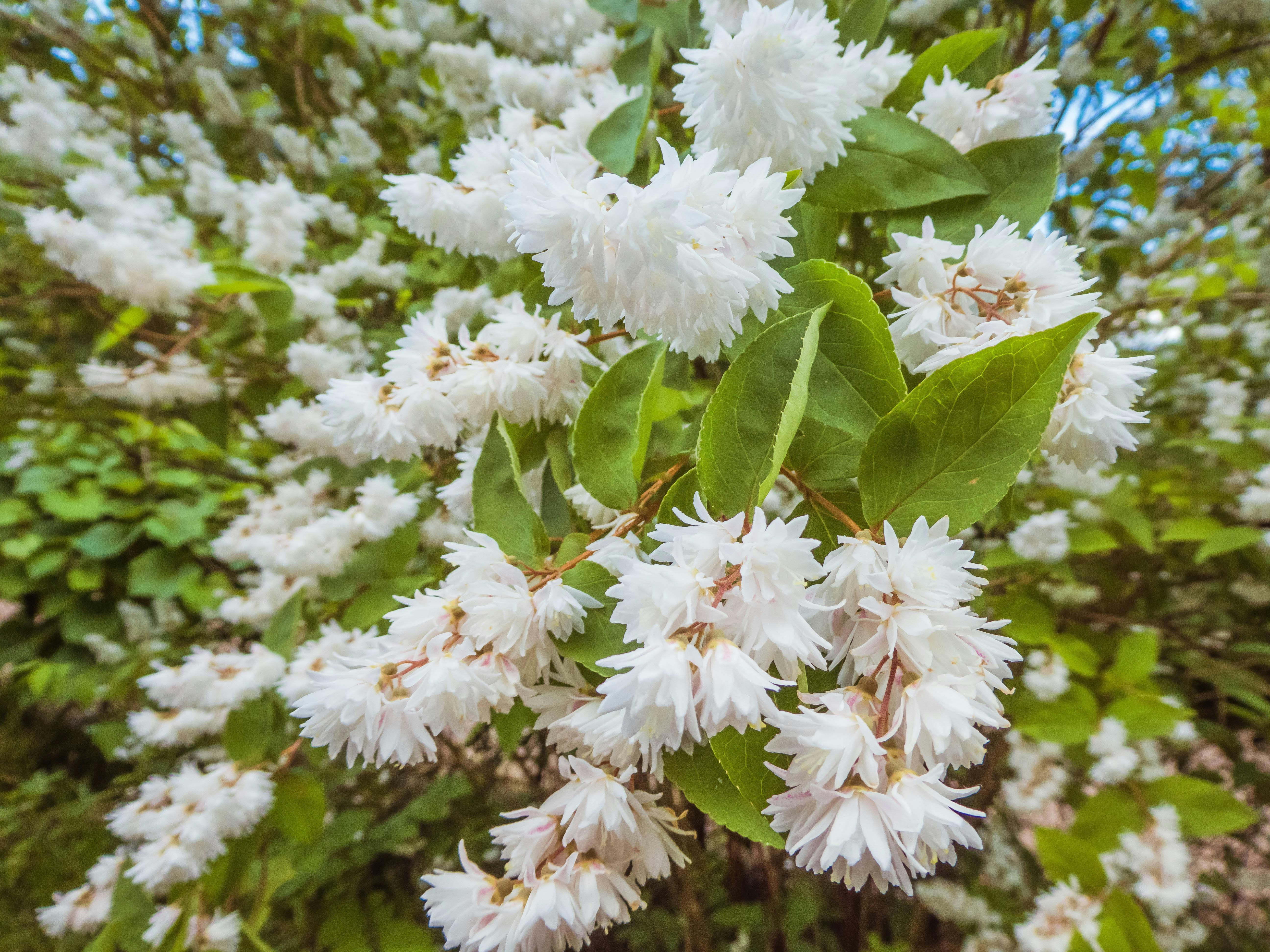 Maureen · Fotografie