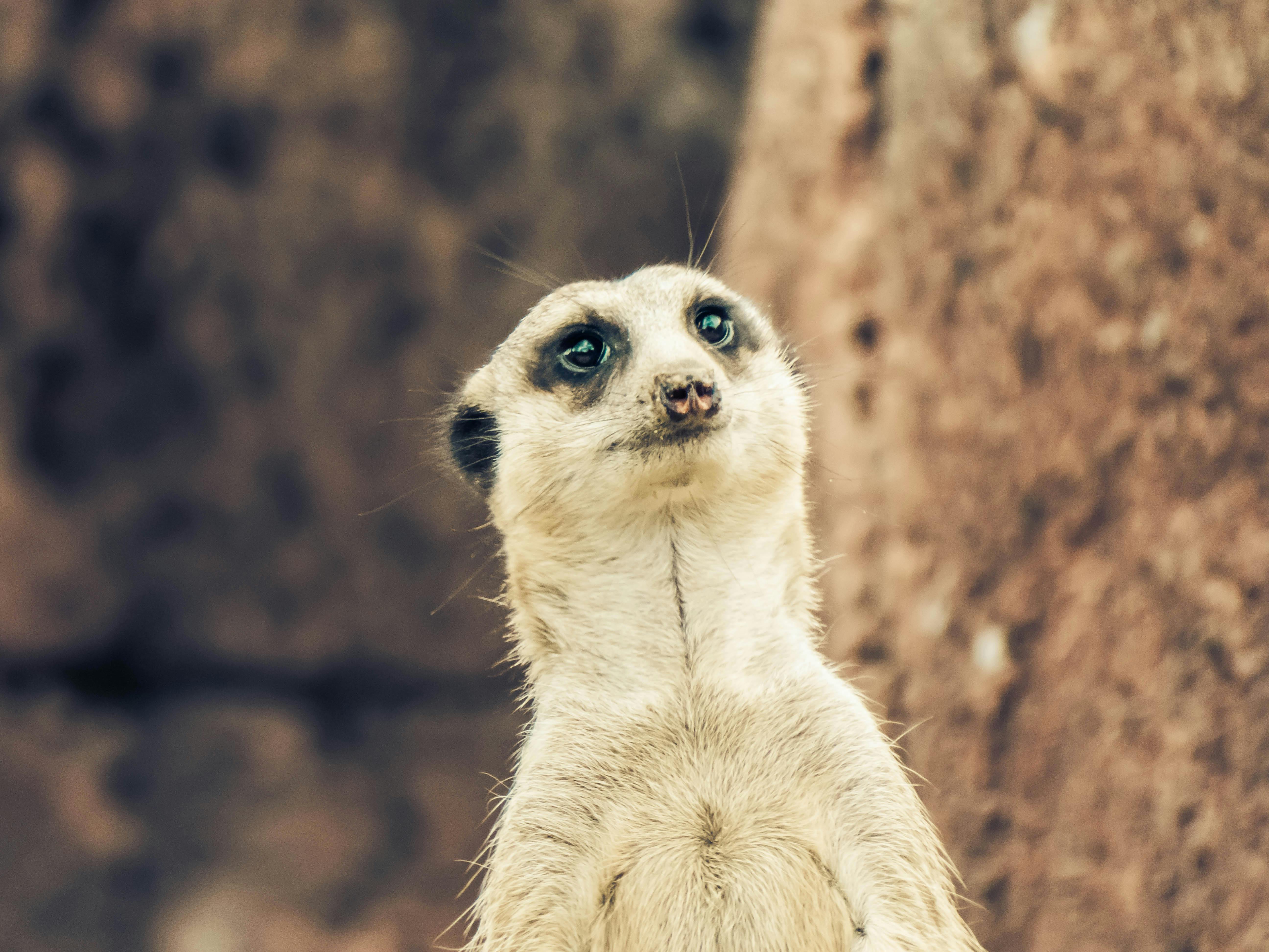 Maureen · Fotografie