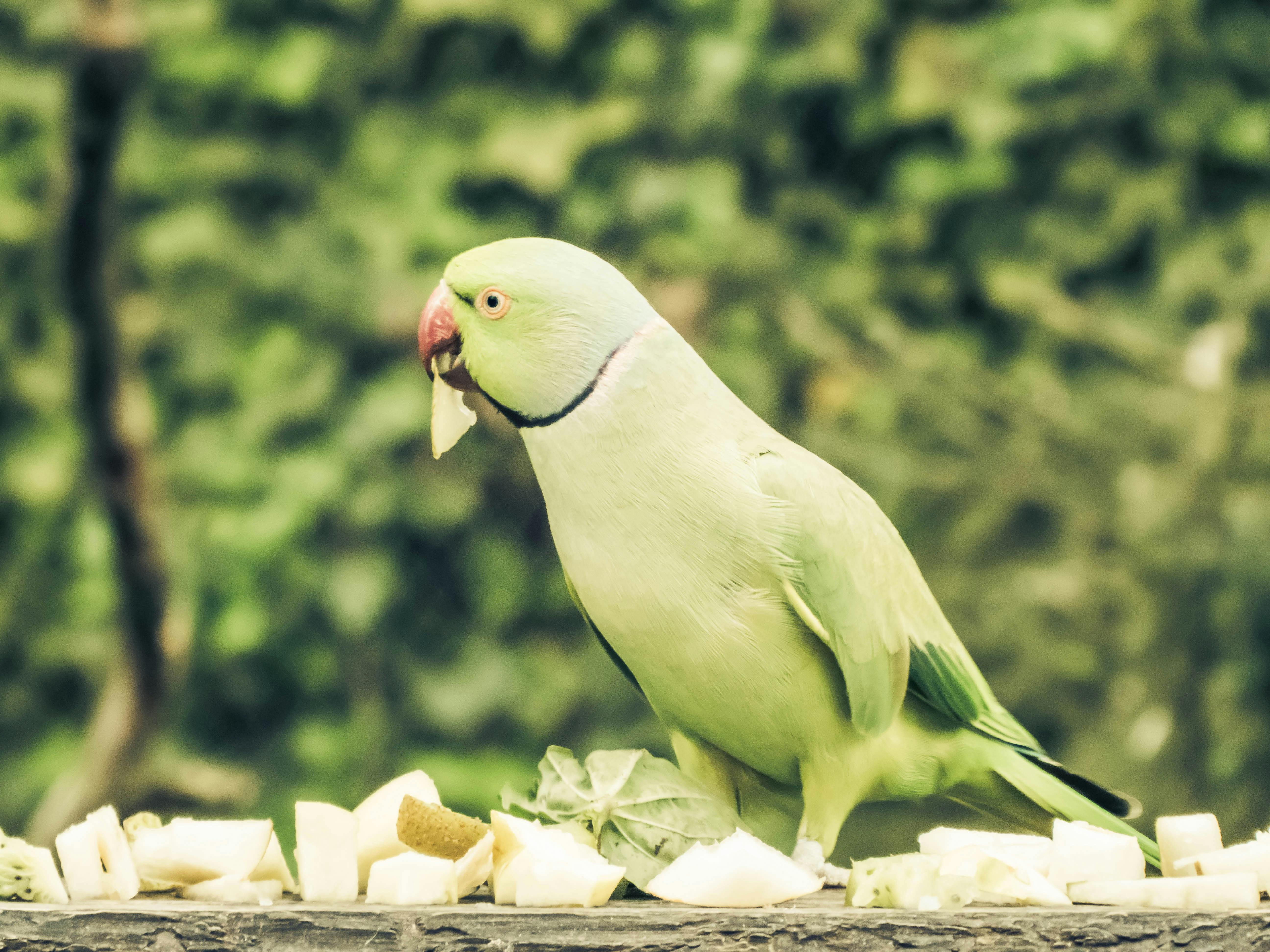 Maureen · Fotografie