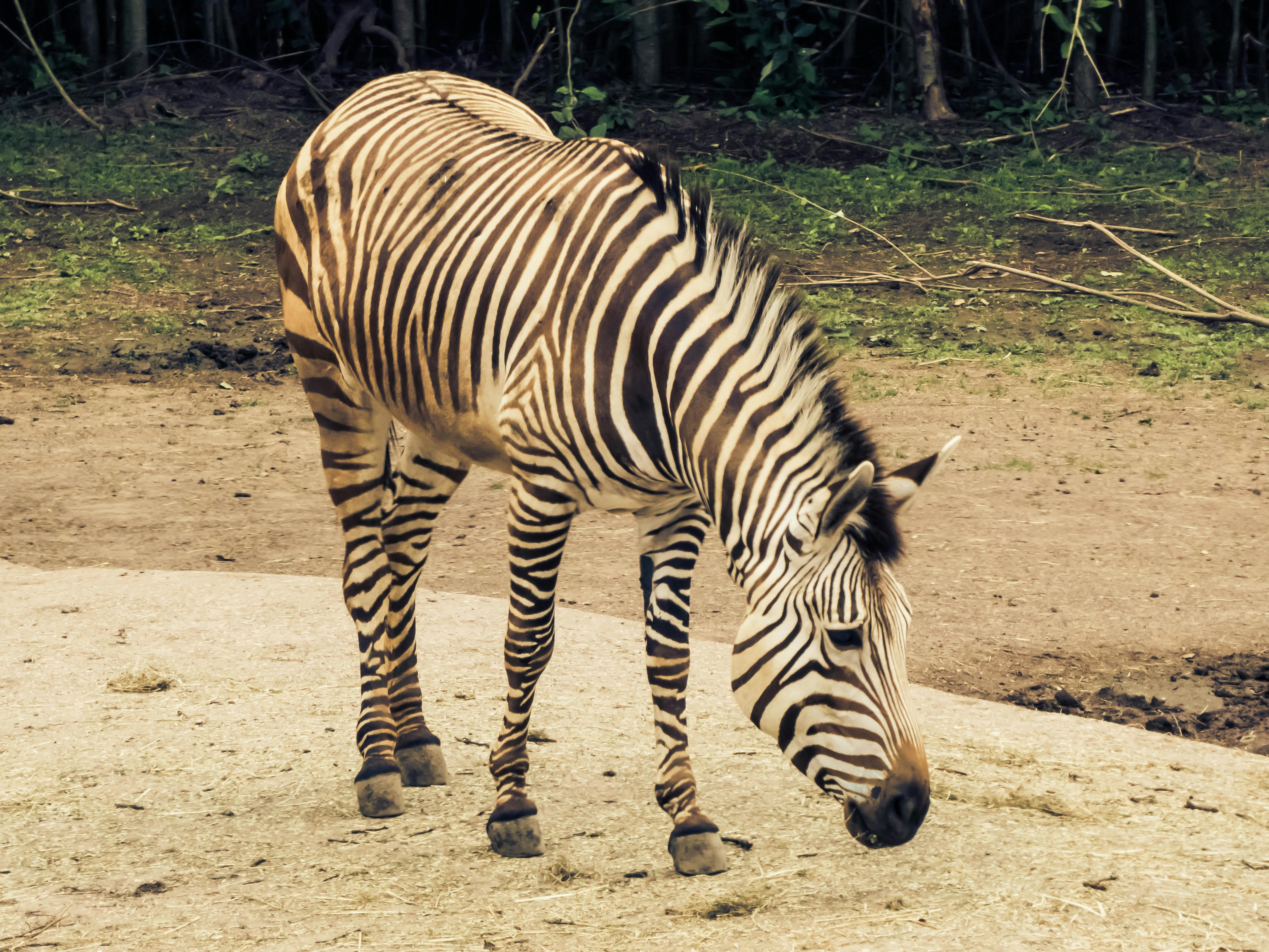 Maureen · Fotografie