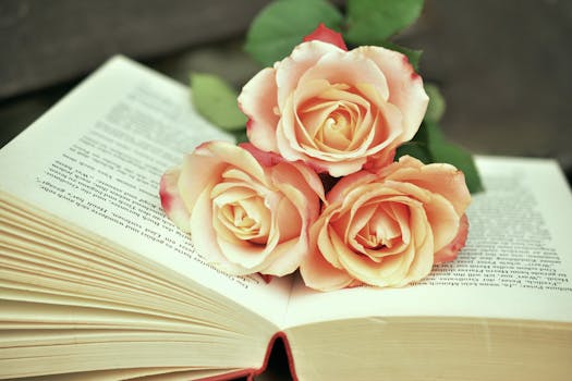 Free stock photo of romantic, flowers, petals, blur