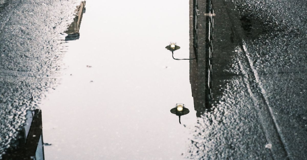 Reflection In the Puddle · Free Stock Photo