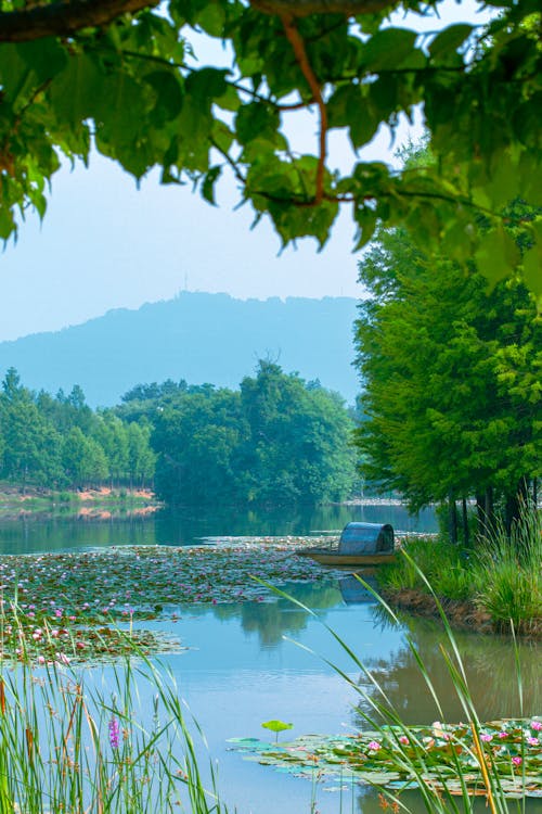 Imagine de stoc gratuită din nanjing