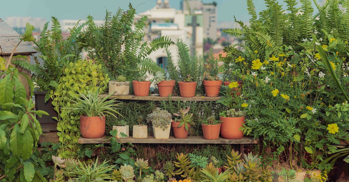 Top 5 des Livres pour Devenir un Expert en Jardinage Urbain