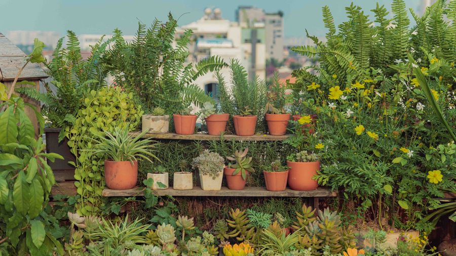 Painting Your Porch Deck: The Weekend Refresh That Changes Everything
