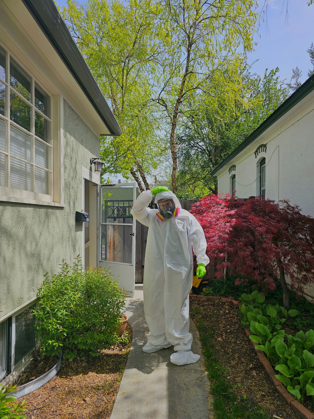 Technician in protective suit treating a residential yard