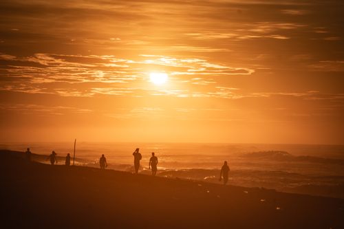 Free Captivating silhouettes against a golden beach sunset scene. Stock Photo