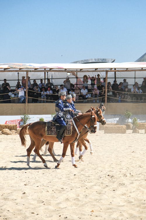 Gratis arkivbilde med bevegelse, cowman, festival