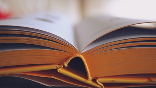 Selective Focus Photography of Opened Book