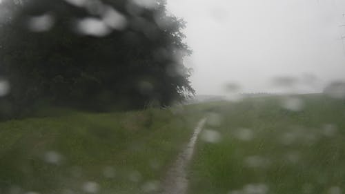 Základová fotografie zdarma na téma abrigo, auto, déšť