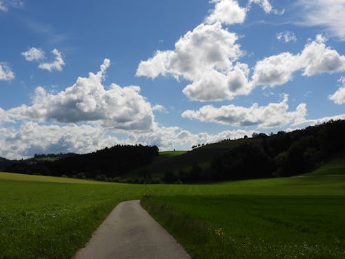 Základová fotografie zdarma na téma bouda, cesta, den