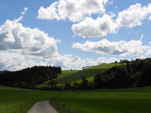 Základová fotografie zdarma na téma bouda, cesta, den