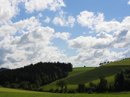 Základová fotografie zdarma na téma bouda, cesta, den