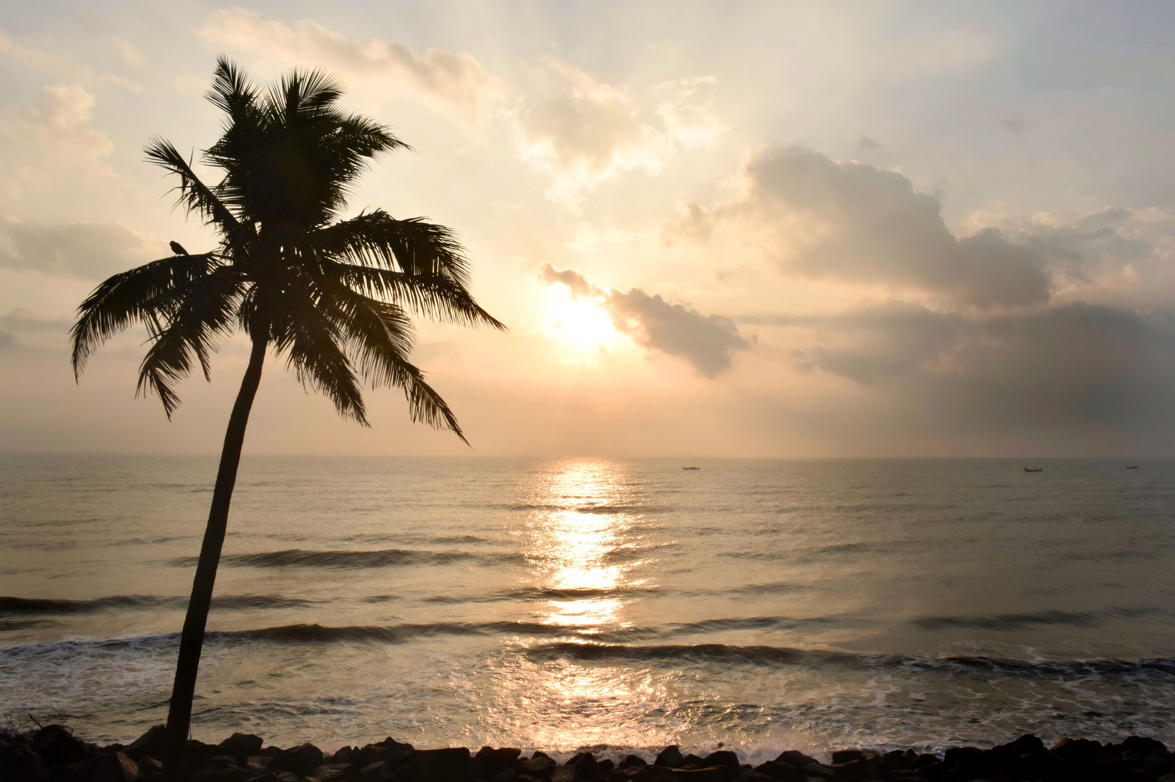 Mangalore travel and vehicle rental photo 2