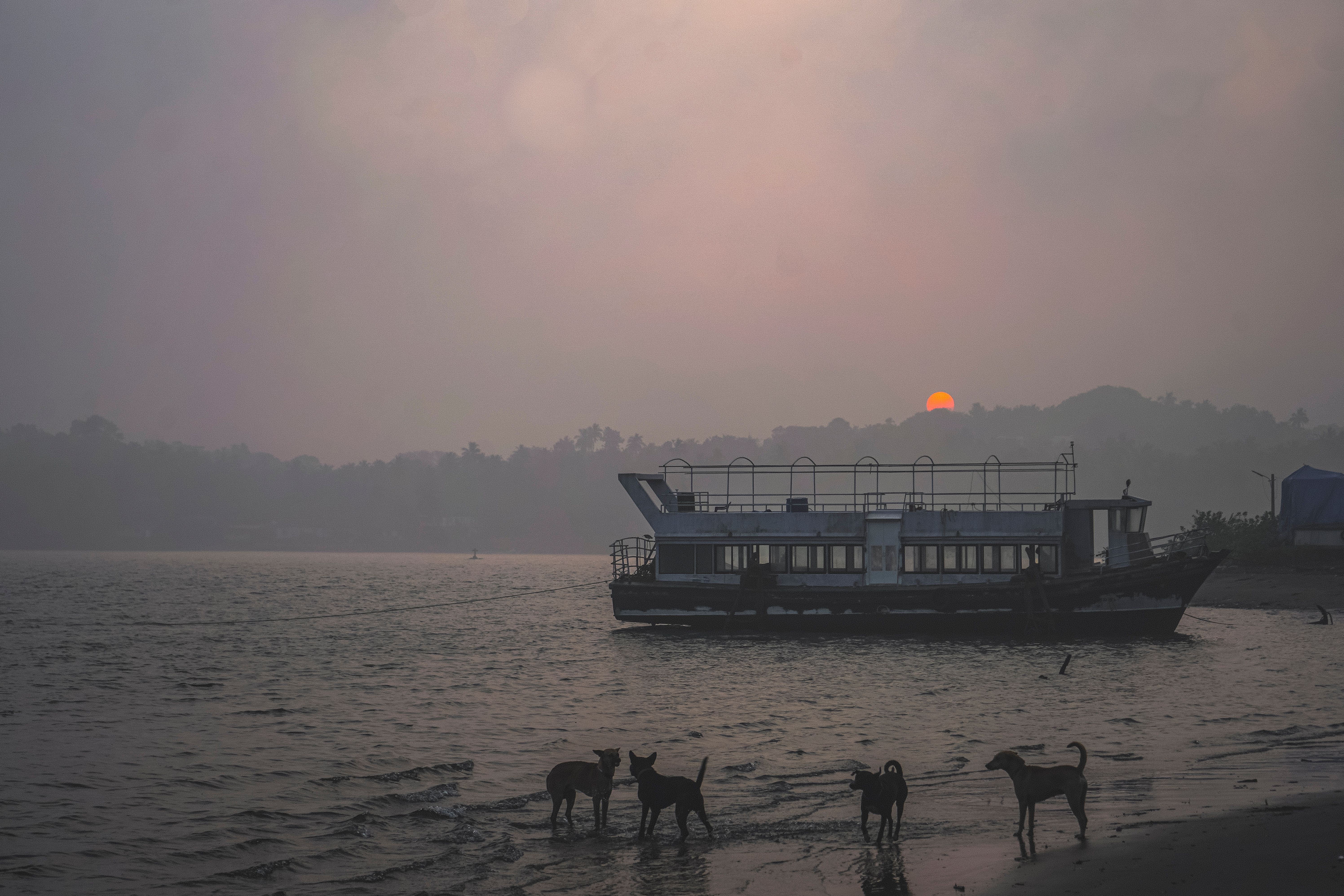 Sunset cruise