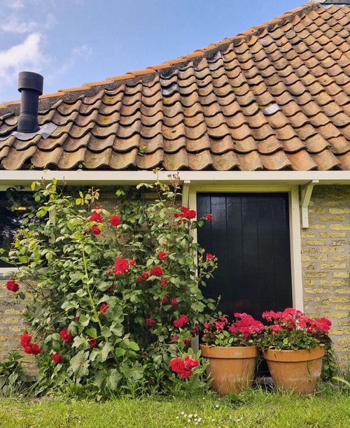 Free A quaint cottage with vibrant red roses and lush greenery, perfect for a serene garden scene. Stock Photo