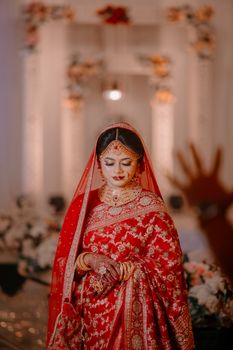 Beautiful bride in red saree with intricate patterns and traditional jewelry in a classic wedding setting.