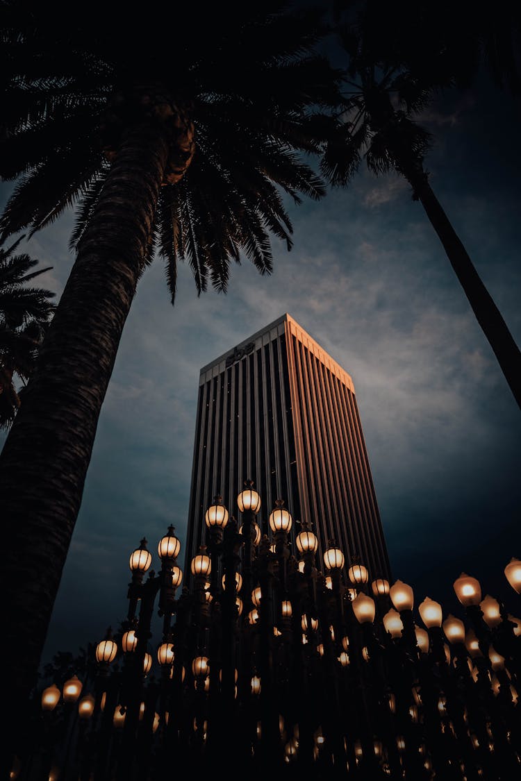 High-rise Building Near Lighted Lamp Posts