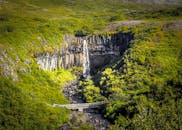 斯瓦尔蒂福斯瀑布位于冰岛，其壮丽景色被郁郁葱葱的夏季绿植环绕