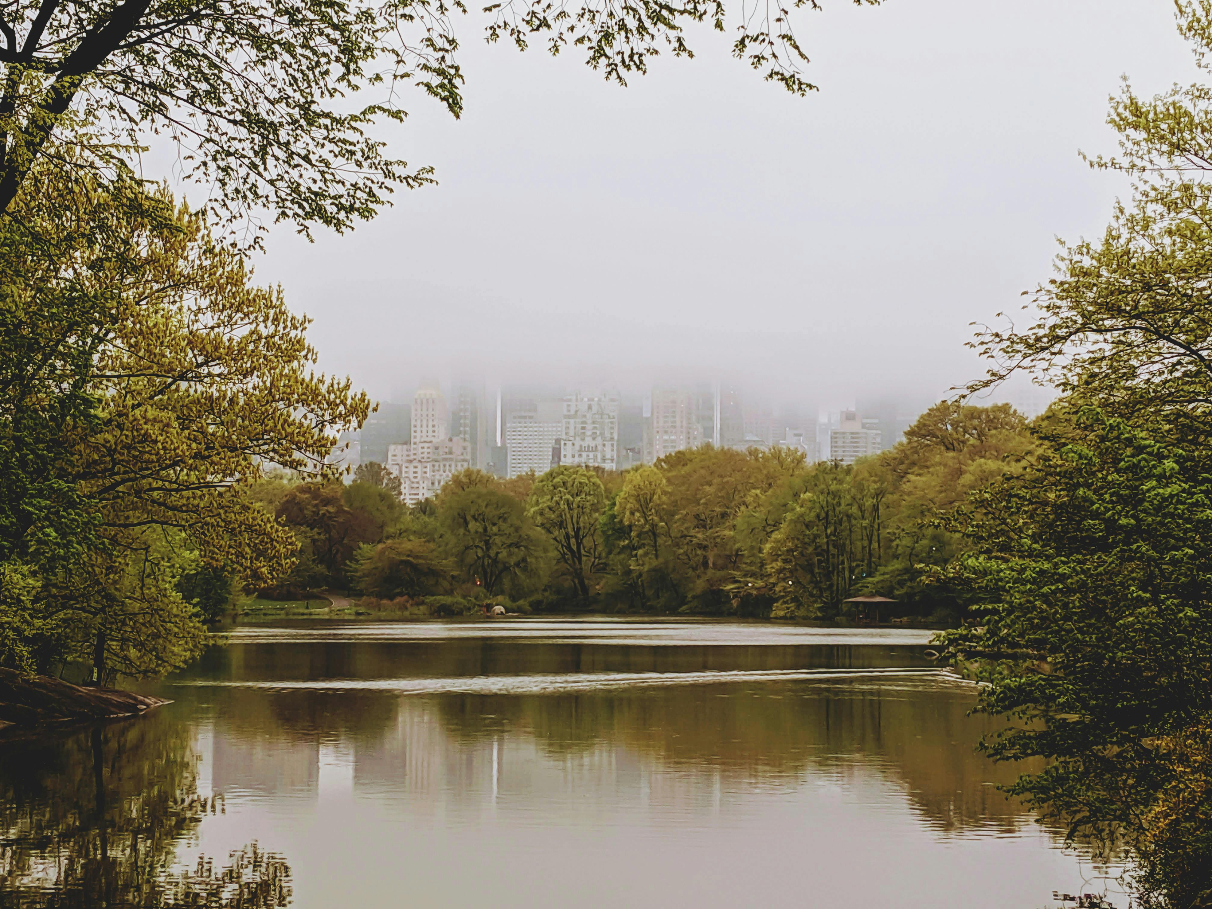 中央公园的湖泊景色宁静，雾霭笼罩着天际线，融合了自然与城市景观