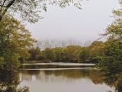 中央公园的湖泊景色宁静，雾霭笼罩着天际线，融合了自然与城市景观