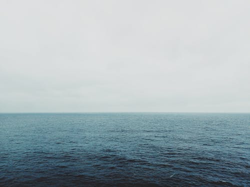 Základová fotografie zdarma na téma horizont, mlha, moře