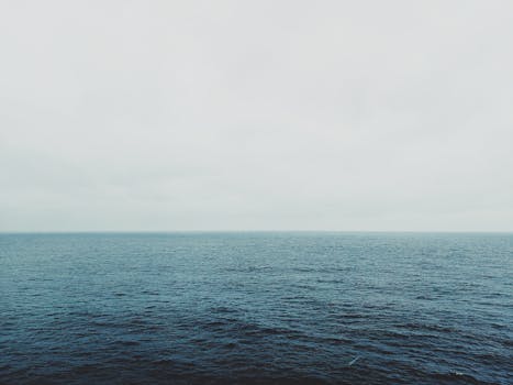 雾天里，海洋与天空交汇的景色宁静，凸显了自然之美