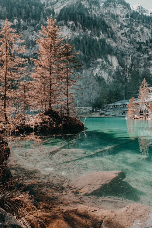 Základová fotografie zdarma na téma blausee, cestování, cestovní ruch