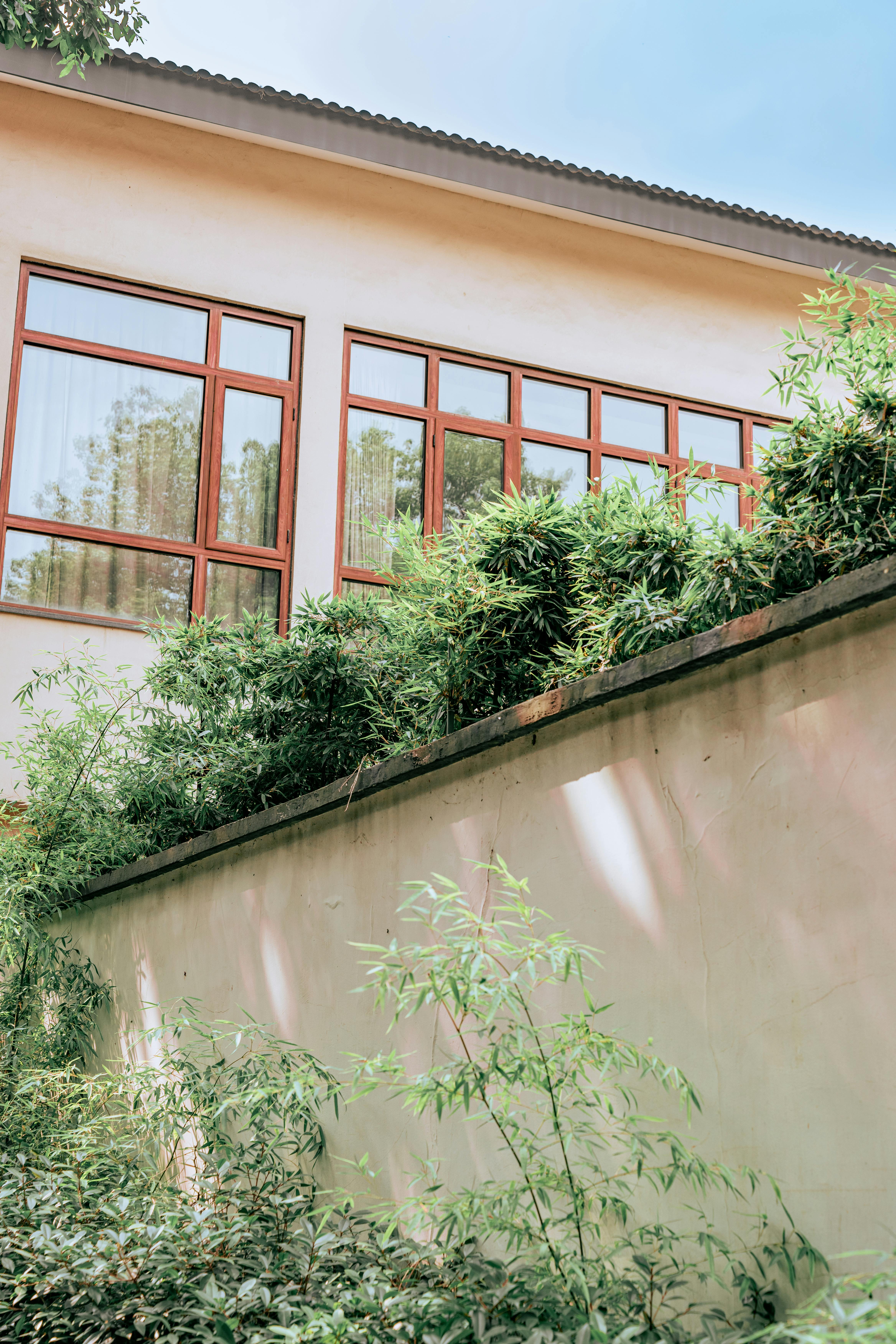 A contemporary house facade with large windows surrounded by lush greenery on a sunny day.