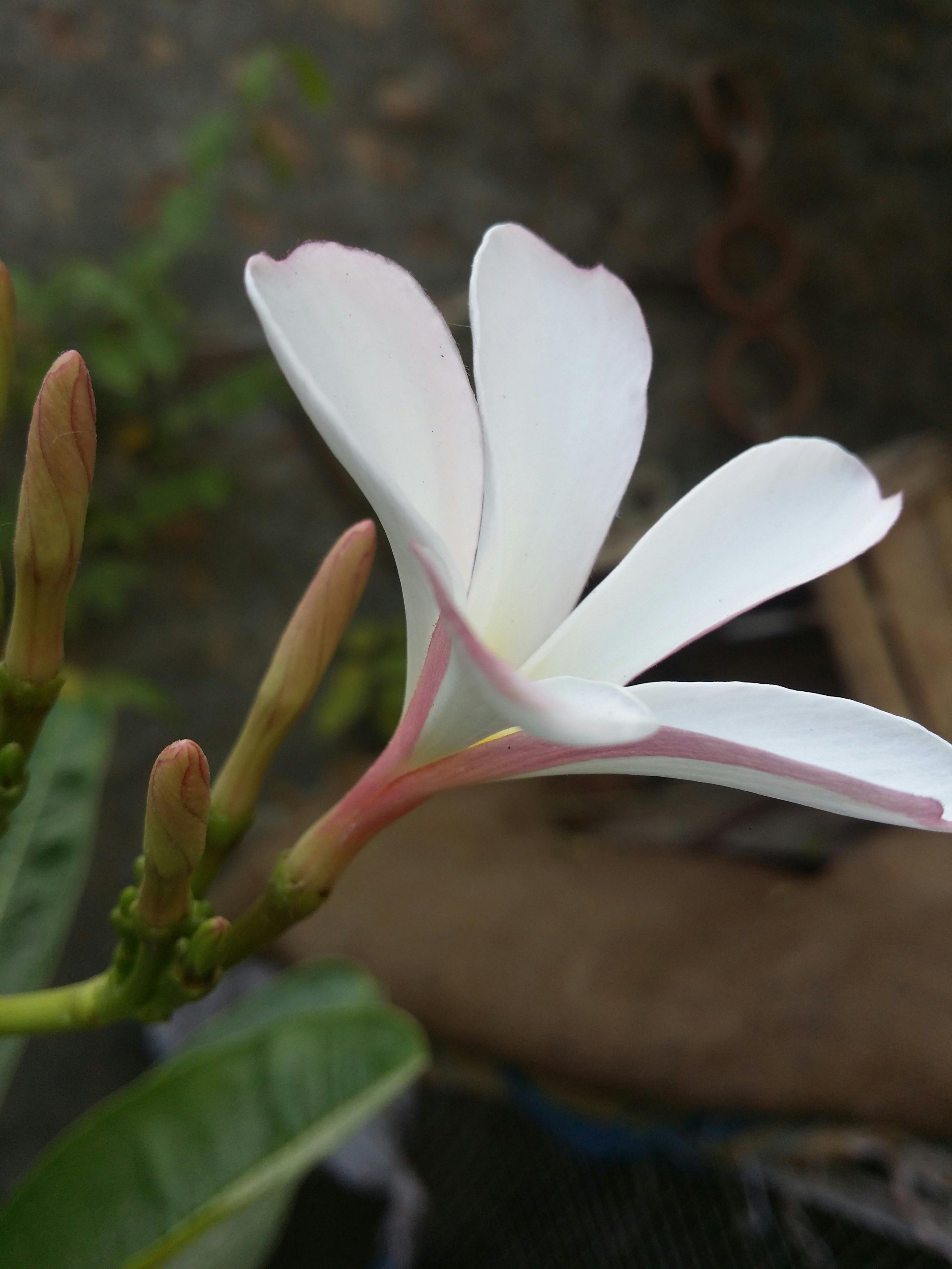 Newspaper and coffee on a table representing daily horoscope reading routine